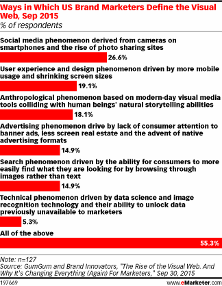 Ways in Which US Brand Marketers Define the Visual Web, Sep 2015 (% of respondents)