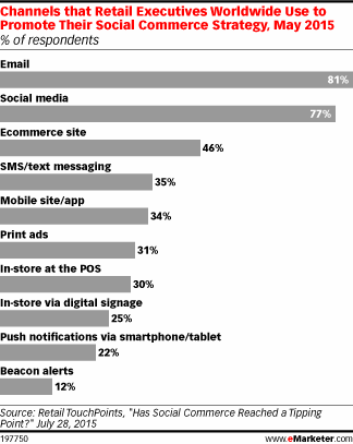 Channels that Retail Executives Worldwide Use to Promote Their Social Commerce Strategy, May 2015 (% of respondents)