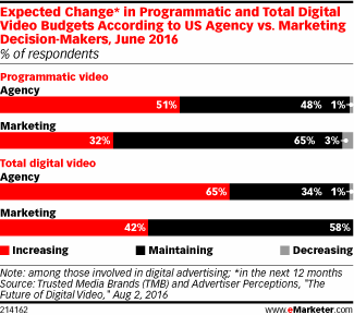 Expected Change* in Programmatic and Total Digital Video Budgets According to US Agency vs. Marketing Decision-Makers, June 2016 (% of respondents)