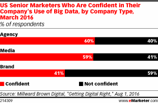 US Senior Marketers Who Are Confident in Their Company's Use of Big Data, by Company Type, March 2016 (% of respondents)