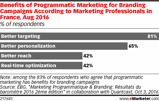 Benefits of Programmatic Marketing for Branding Campaigns According to Marketing Professionals in France, Aug 2016 (% of respondents)