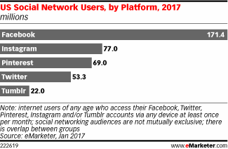 US Social Network Users, by Platform, 2017 (millions)