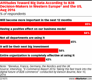 Attitudes Toward Big Data According to B2B Decision-Makers in Western Europe* and the US, Aug 2016 (% of respondents)